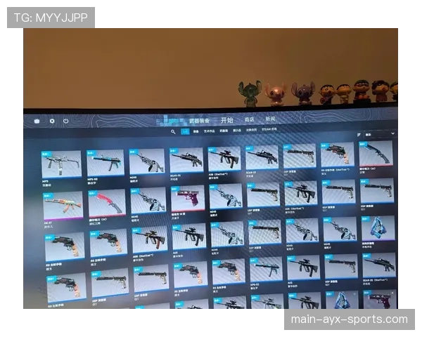 CS2饰品稀有度查询工具：你的库存到底价值多少钱？